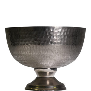 Sliver bubble champagne cooler