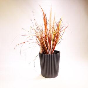 Black Planter pot